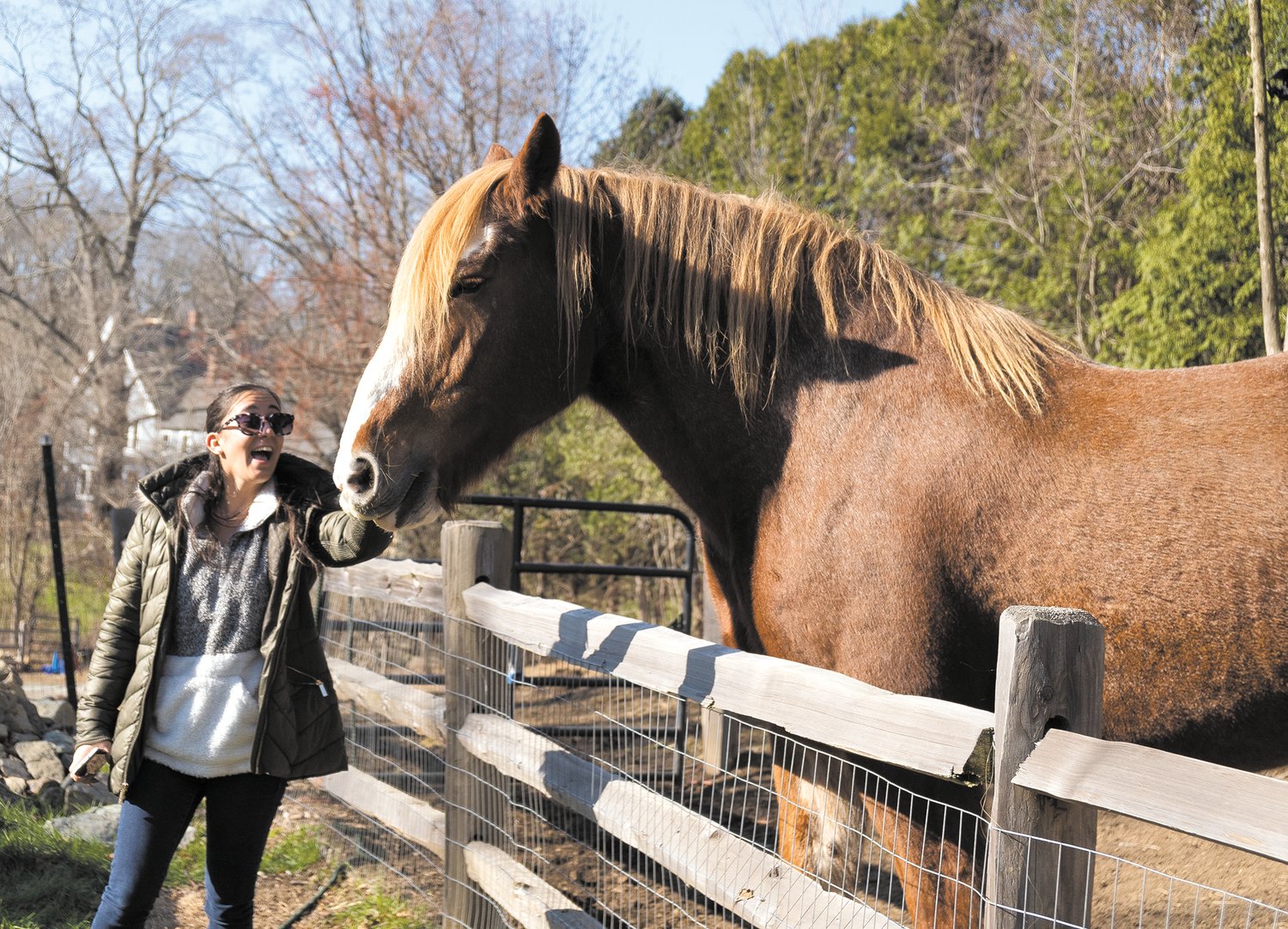 MAKING NEW FRIENDS: Karrina Botelho, a teacher assistant at Stone Hill Elementary School, takes a moment to visit Rosie, one of the farm's five horses, during a field trip to Equi Evolution on Nov. 23.